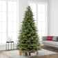 10 / Full / Clear Incandescent