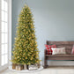 7.5 / Slim / Clear Incandescent