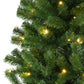 6 / Full / Warm White LED