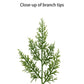 9 ft. x 10 in. Cascading Garland