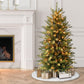 4.5 / Slim / Clear Incandescent