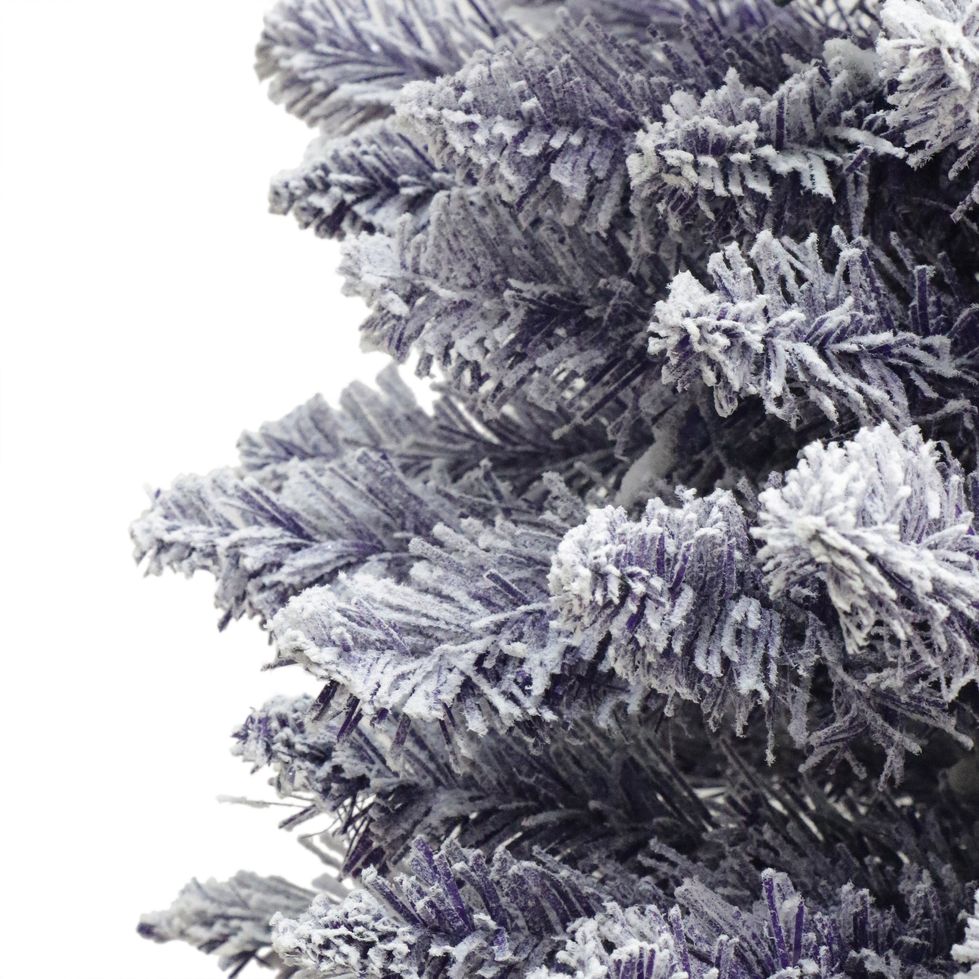 4.5 / Clear Incandescent / Flocked Purple