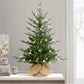 2 / Conical / Warm White LED