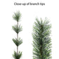 4.5 / Clear Incandescent / Green