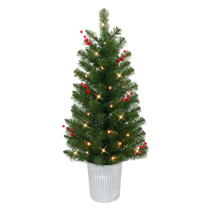 Set of 2 3.5 ft. Pre-Lit Potted Trees