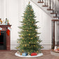 7.5 / Slim / Clear Incandescent