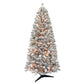 6 / Clear Incandescent