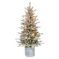 4.5 / Clear Incandescent / Flocked