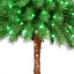 6 / Full / Clear and Green Incandescent