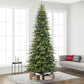 12 / Slim / Clear Incandescent