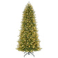 7.5 / Slim / Clear Incandescent