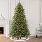 7.5 / Full / Clear Incandescent