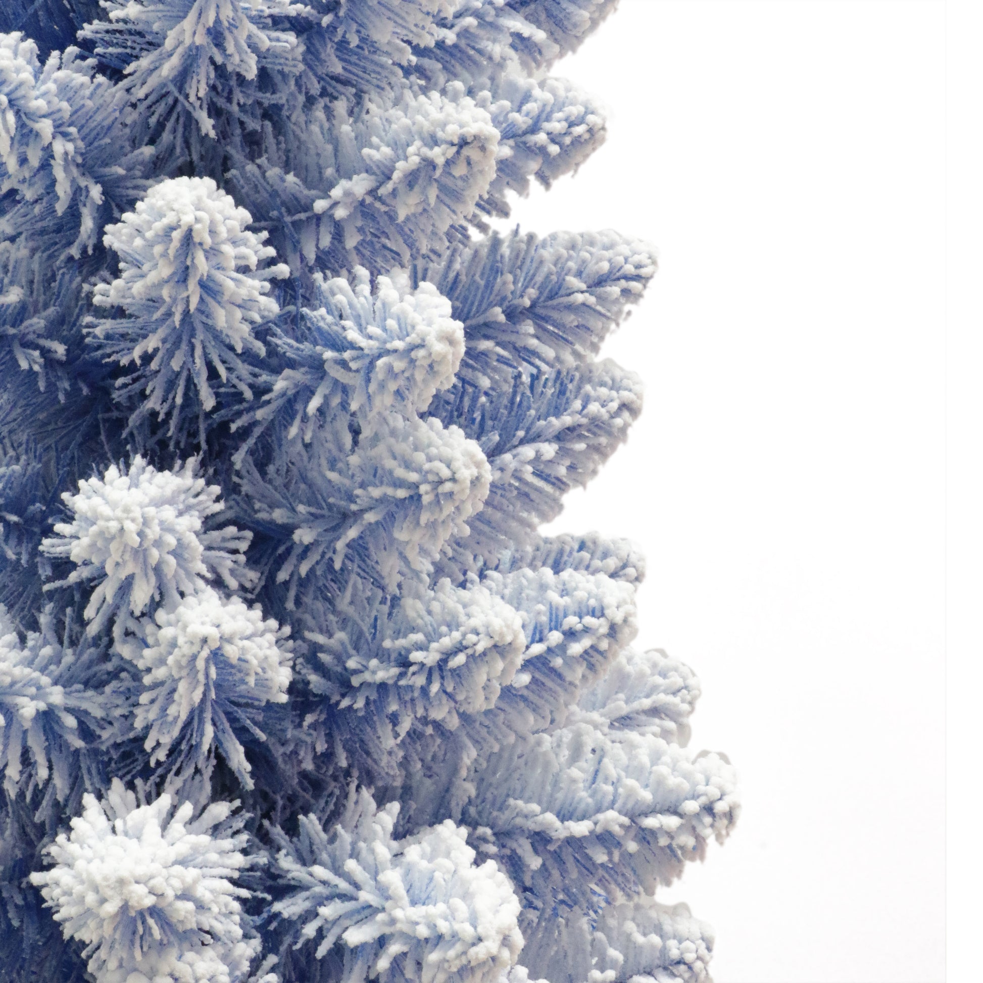 6.5 / Clear Incandescent / Flocked Blue