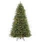 7.5 / Full / Clear Incandescent