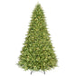 10 / Full / Clear Incandescent