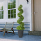 5 ft. Topiary Spiral Boxwood Artificial Tree